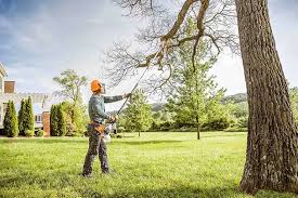 Professional Tree Care Services in Atherton, CA