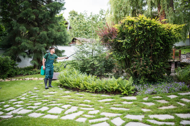 Lawn Watering Services in Atherton, CA